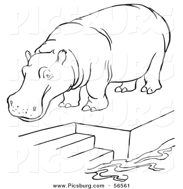 Clip Art of a Zoo Hippo Standing on a Pool Platform with Stairs - Black and White Line Art