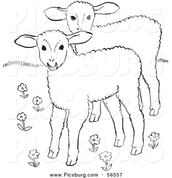 Clip Art of Two Lambs in a Flower Field - Black and White Line Art