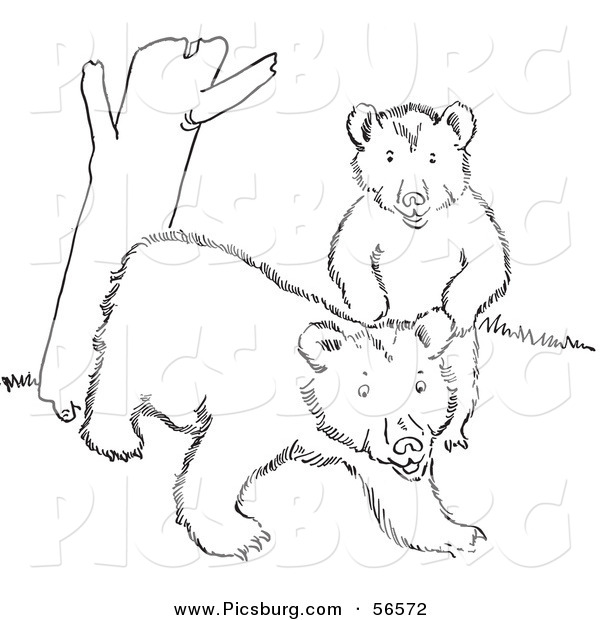 Clip Art of Two Playful Bear Cubs Beside a Tree Trunk - Black and White Line Art