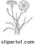 Clip Art of a Coloring Page Outline of a Bachelors Buttons Flower Plant by Picsburg