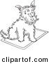 Clip Art of a Scottie Dog Sitting on a Rug - Black and White Line Art by Picsburg