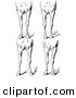 Clip Art of an Old Fashioned Vintage Engraved Horse Anatomy of Bad Conformations of the Fore Quarters in Black and White by Picsburg