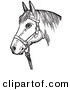 Clip Art of an Old Fashioned Vintage Horse with Good Form for a Halter of in Black and White by Picsburg