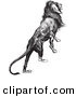 Clip Art of an Old Fashioned Vintage Majestic Lion Black and White by Picsburg