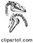 Clip Art of Two Horse Skulls and Neck Bones - Black and White by Picsburg