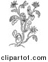 Vector Clip Art of a Black and White Herbal Borage Plant by Picsburg